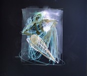 Drawing: Invisible Rooms - Confinement I Figure 2b Mixed Media on Paper + Digital invert & manipulation 28cm x 25cm Exercise: Trapped within 12.7cm x 17.8cm